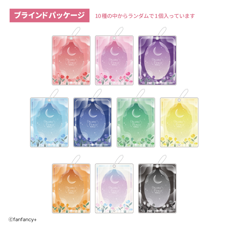 【굿즈-장식품】 논캐릭 B10 포토카드 아크릴 프레임 Dreamy Flower (랜덤)