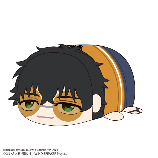 【굿즈-마스코트】 WIND BREAKER 애니판 포테코로 마스코트 Msize2 C 토가메 죠