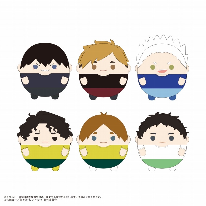 【굿즈-마스코트】 하이큐!! 애니판 B6 후와코로링 10 (랜덤)