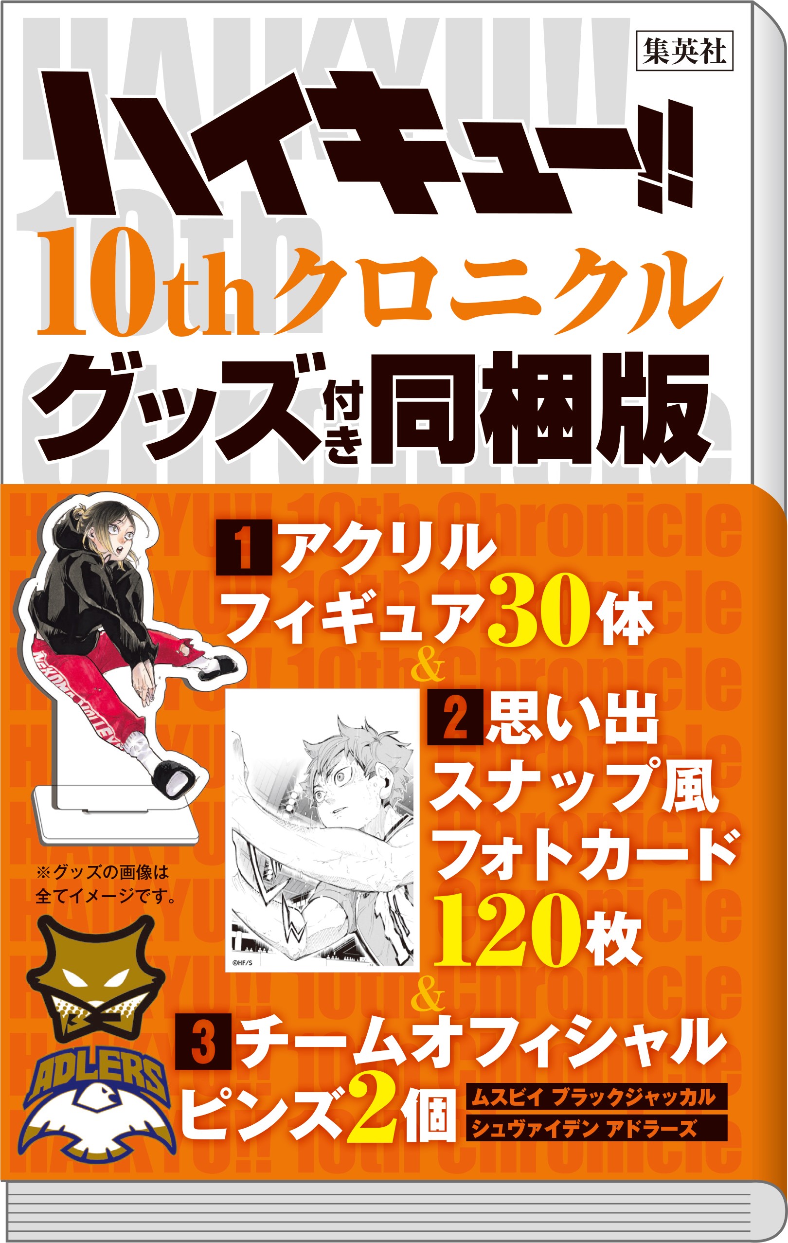 【コミック】ハイキュー!! 10thクロニクル グッズ付き同梱版